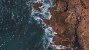 The Role of Corporate Culture in Family Businesses and Its Impact on Investment Decisions